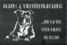 STAFFORDSHIRE BULLTERRIER