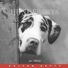 Hundebabys von hulton - hundebabys, getty