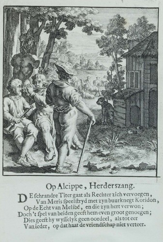 Alcippe herderszang - alcippe,,