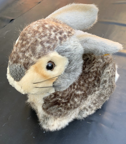 Original steiff hase - steiff,