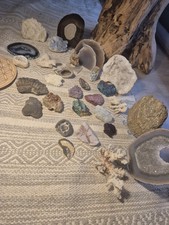Tolle Mineraliensammlung