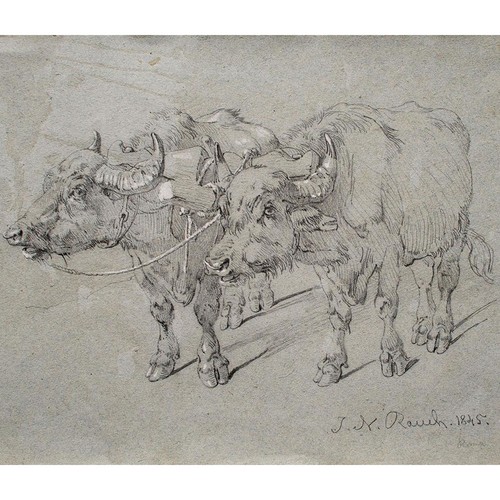 Johann nepomuk rauch - nepomuk,