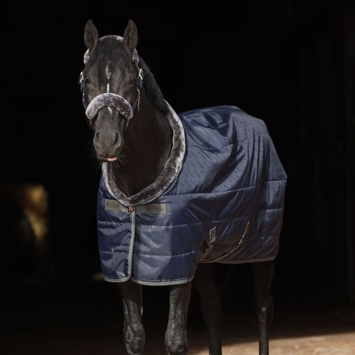 Bucas stalldecke show line - stalldecke, show-line