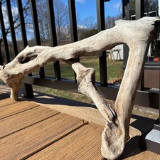 Large Driftwood with Openings