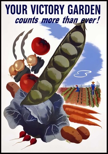 Your victory garden - your, wwii