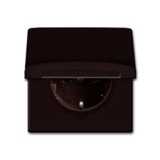 Busch-Jaeger 20EUGK-31-101 SCHUKO Steckdose mit Klappdeckel Allwetter 44 braun