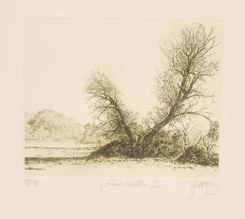 Walter herzog handsigniert - walter,