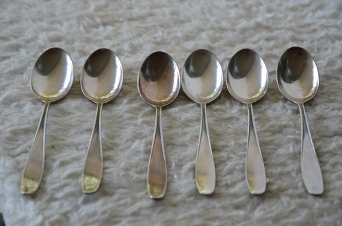 Bsf platura silber 12 - platura,, 6