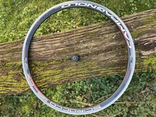 Vorderrad -Campagnolo Scirocco