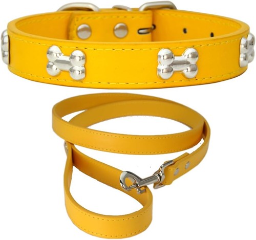 Hundehalsband aus leder - aus,