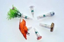 6x Nano Geld Magnet Neodym Hutmutter Gras Behälter Geocaching Versteck GPS FTF