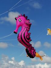 4 Meter Seepferdchen Stablose Drachen Kite Leinenschmuck