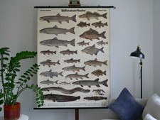 Vintage schulwandkarte - vintage, |