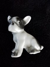 Französische Bulldogge