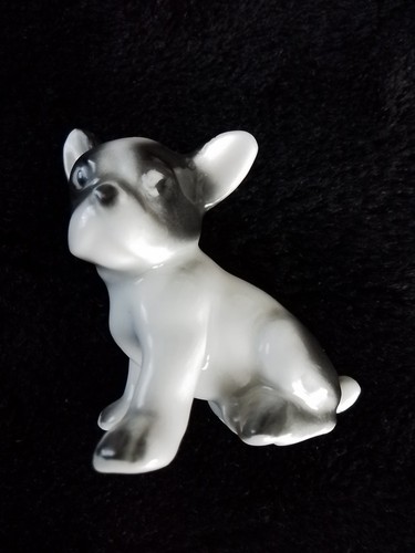 Französische bulldogge - französische,