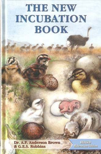 Brown anderson hatching eggs - anderson,
