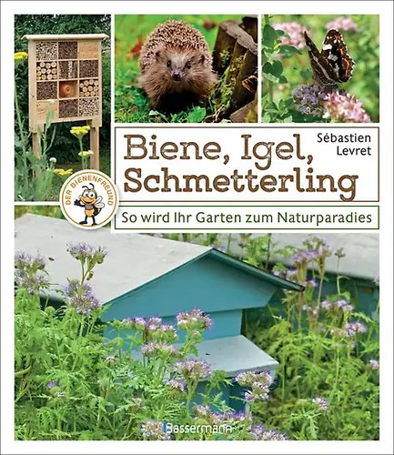 Biene igel schmetterling - biene,, so