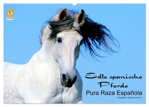 Edle spanische pferde pura - pferde,