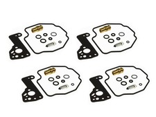 Vergaser Reparatur Satz 4