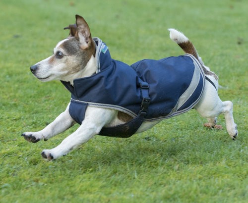 Bucas hundemantel freedom - freedom, dog