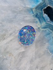 Schöne große Australische