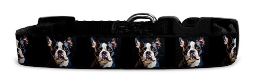 Hundehalsband aus textil mit - textil,