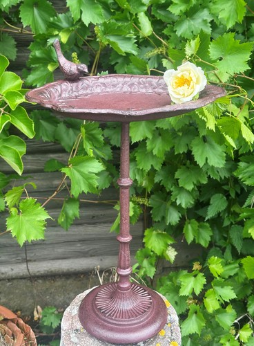 Vogeltränke mit vogel 52cm - mit,