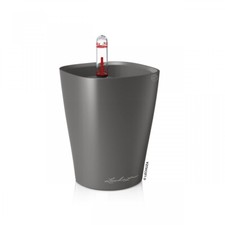 Lechuza mini deltini - lechuza, mini-deltini