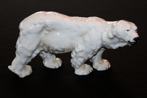 Wunderschöner eisbär - wunderschöner,