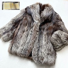 SAGA FOX ROYAL Belle Vison