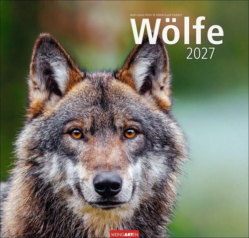 Wölfe kalender 2027 - wölfe, |