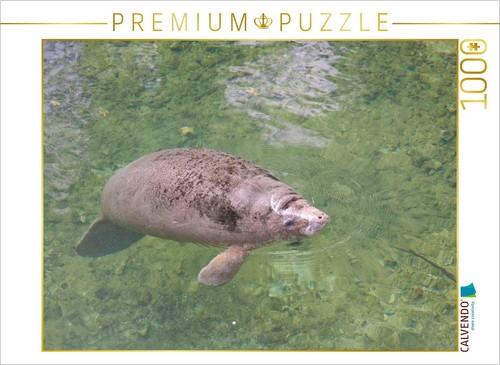 Calvendo puzzle karibik - calvendo,