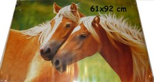 Poster 60x90 pferde neu - cm,