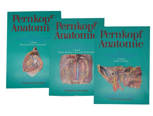 Pernkopf atlas der - pernkopf,