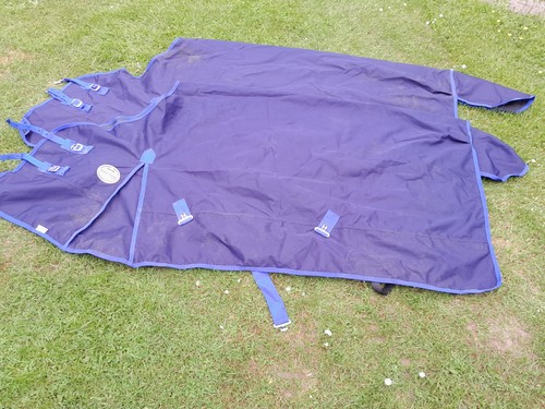 Pferde regendecken stk blau - 2,