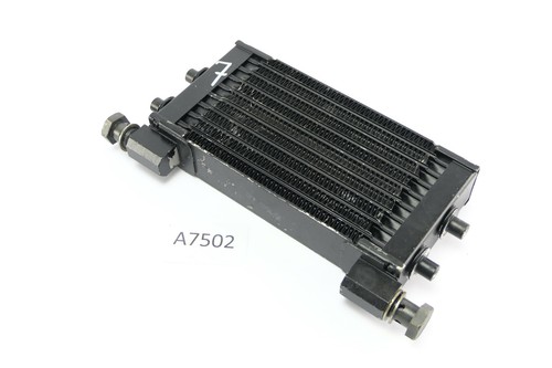 Moto guzzi v11 sport - guzzi,