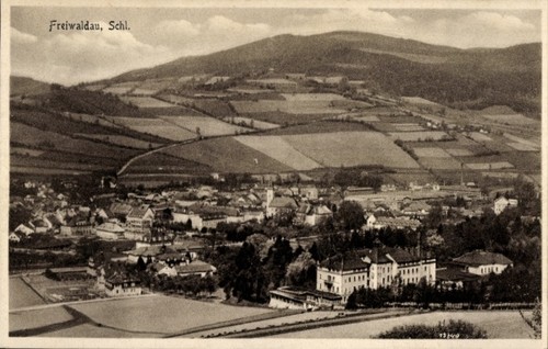 Gozdnica freiwaldau - gozdnica,