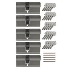 5x Profilzylinder 65mm 30/35