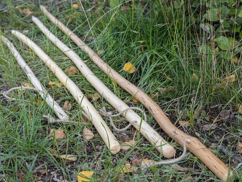 Kinder wanderstock - kinder,