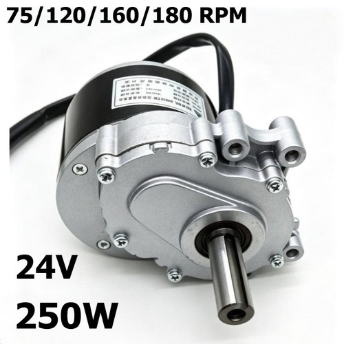 24v 250w gebürsteter - 250w,