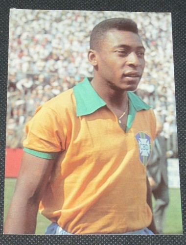 Pele aral bergmann - aral,