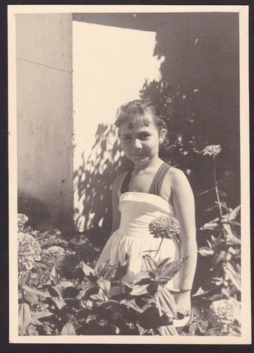 Bezauberndes vintage - bezauberndes,