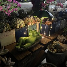 Frosch Figuren mit LED