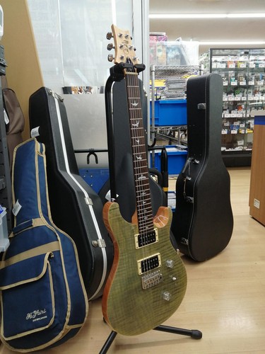 Paul reed smithe gitarre se - paul,