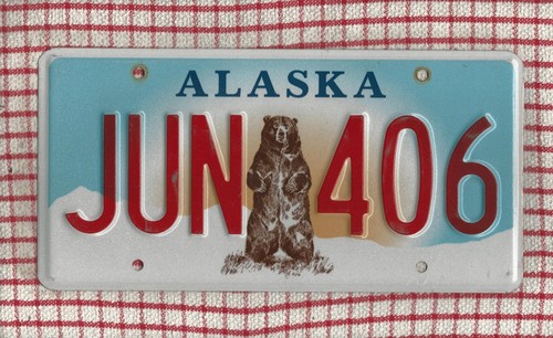 Alaska bear amerikanisches - bear,