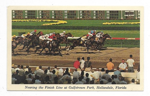Hallandale florida postcard - florida,