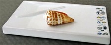Moderne keramik seifenschale - keramik,