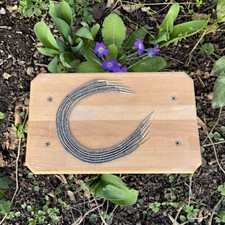 Damen Herren Gewandung