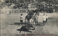 Ak Spanisches Stiergefecht