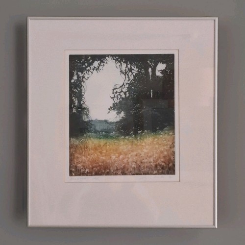 Artist proof print - artist,